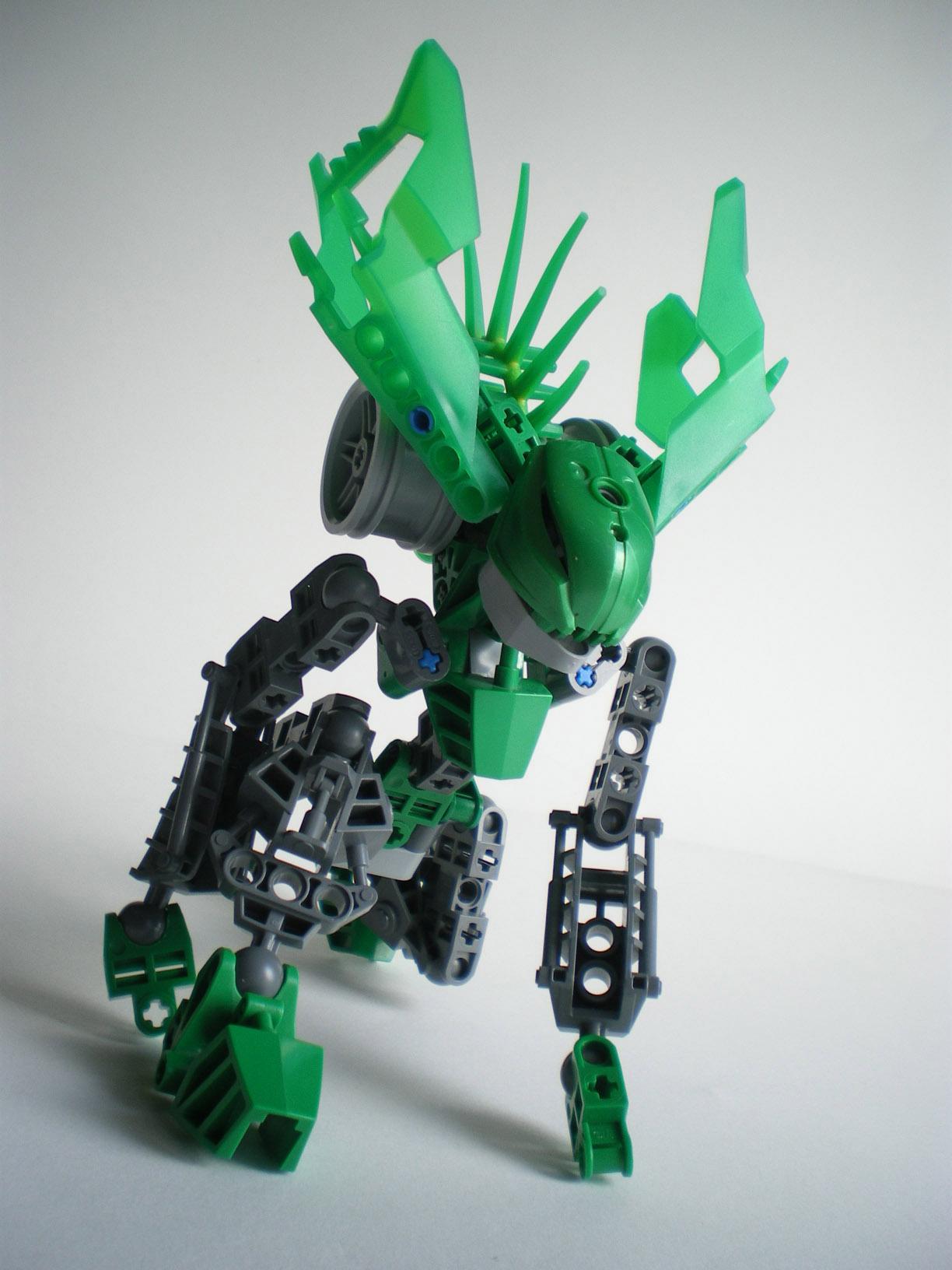 imgp9299.jpg