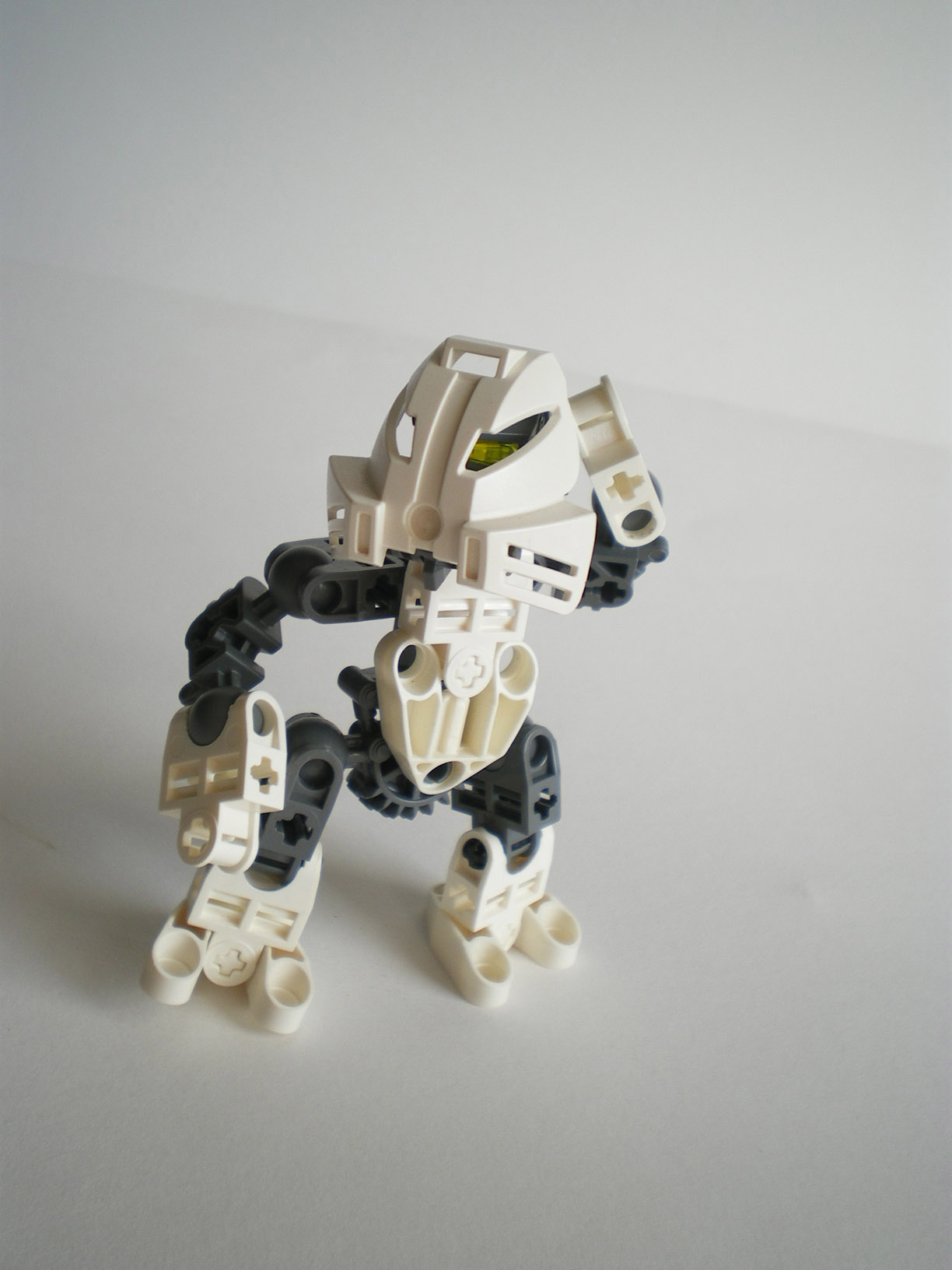 imgp9184.jpg