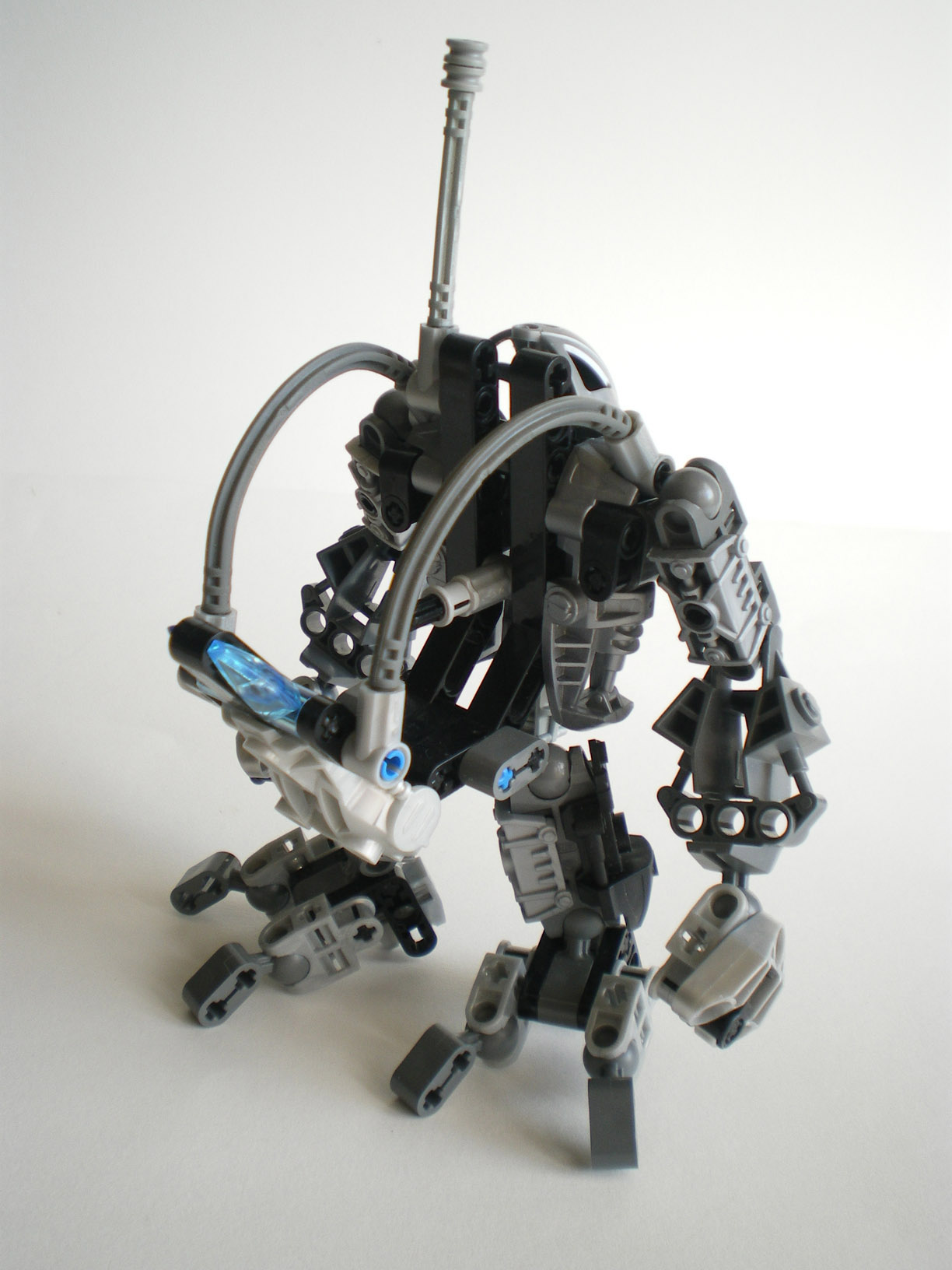 imgp9195.jpg