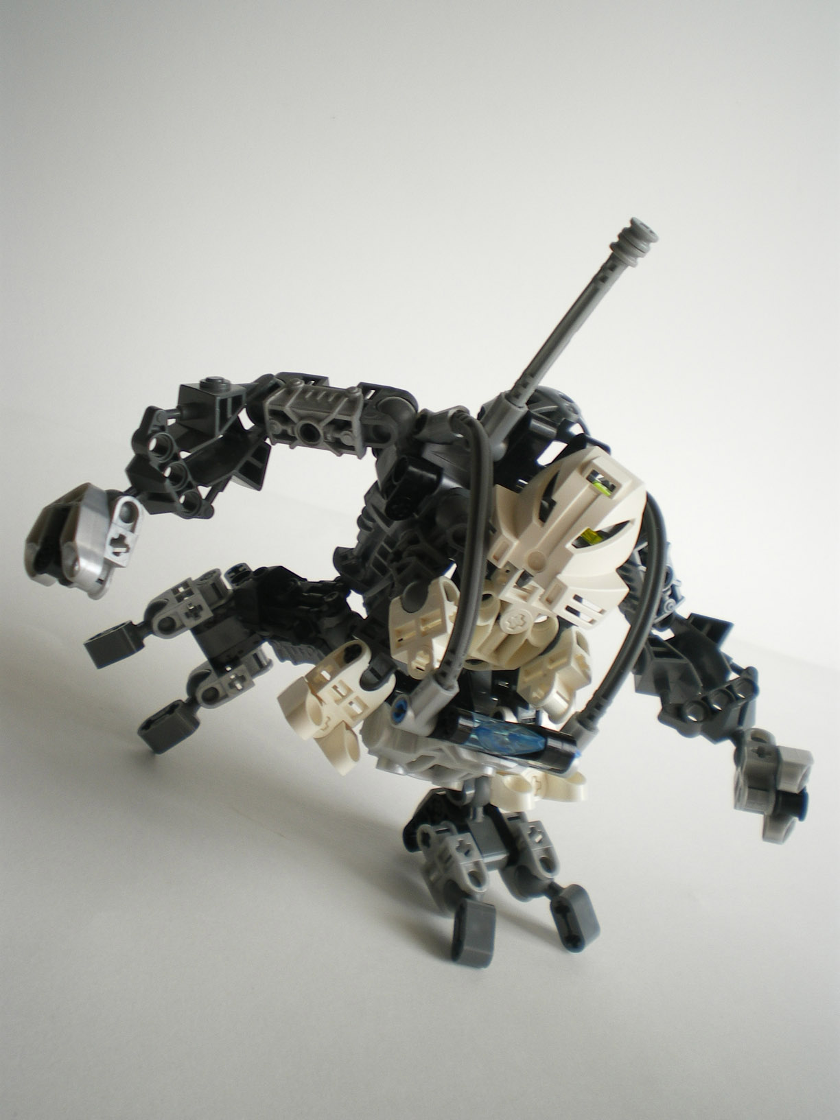 imgp9230.jpg