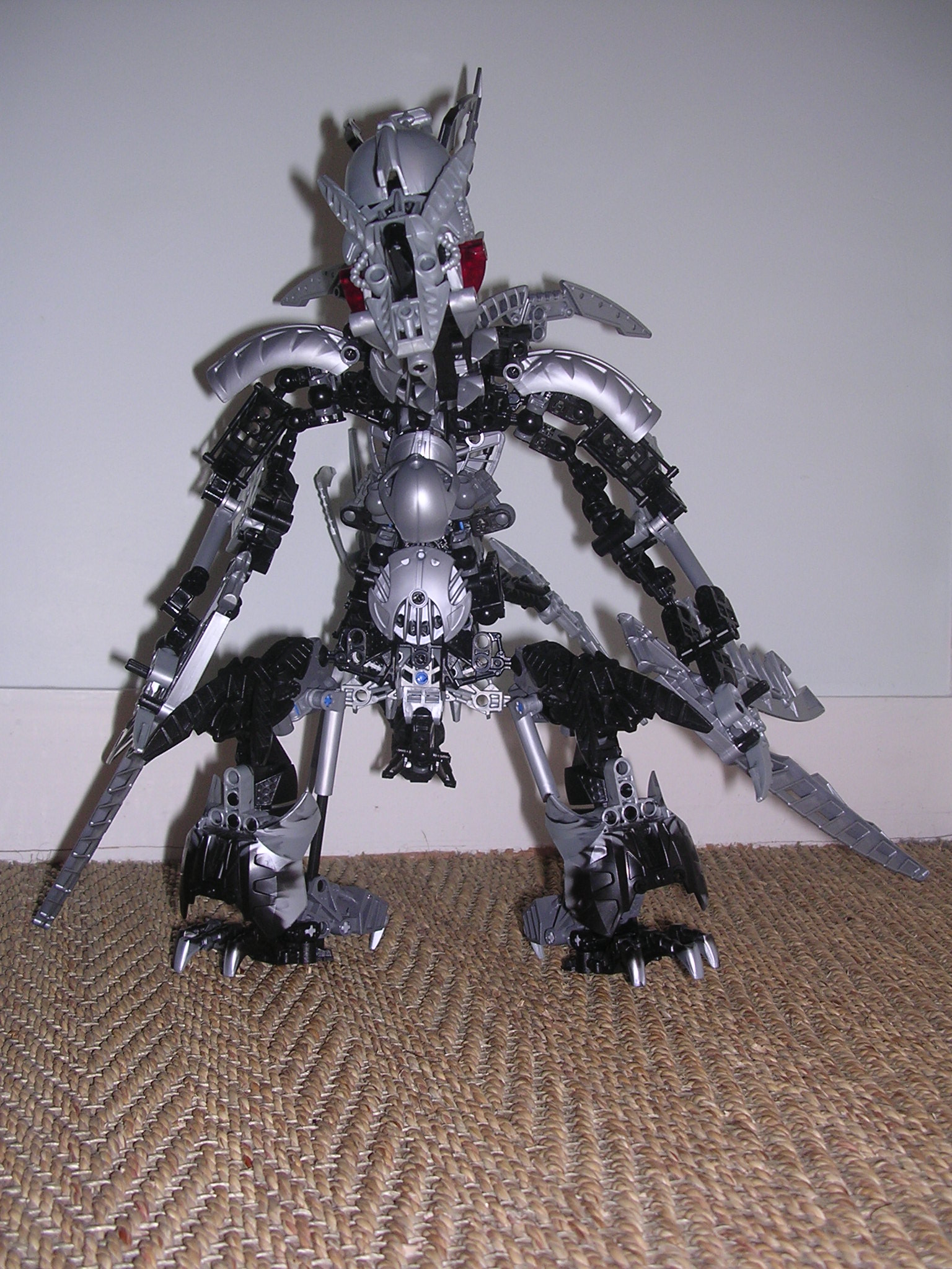 dscn2576.jpg