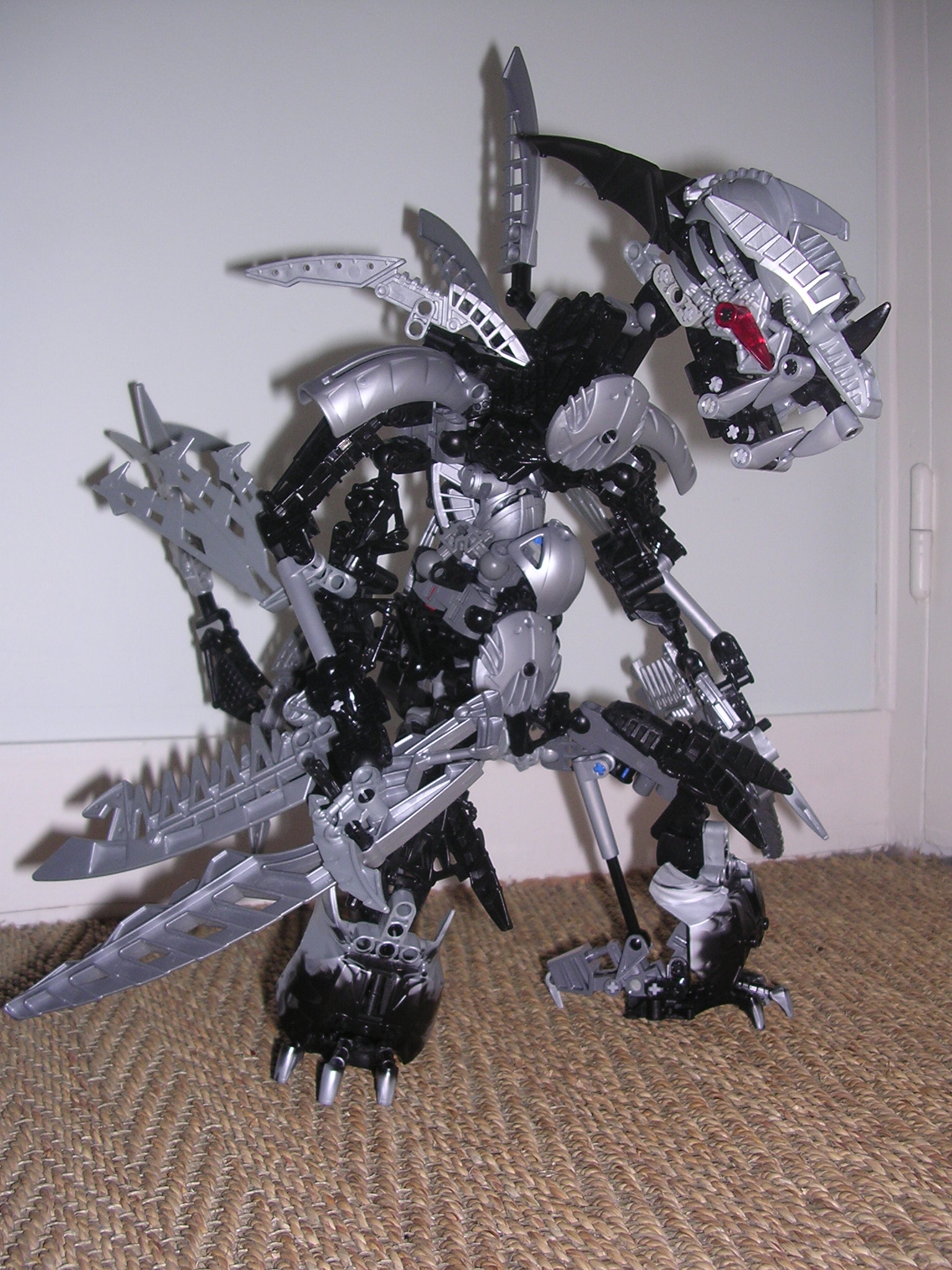 dscn2578.jpg