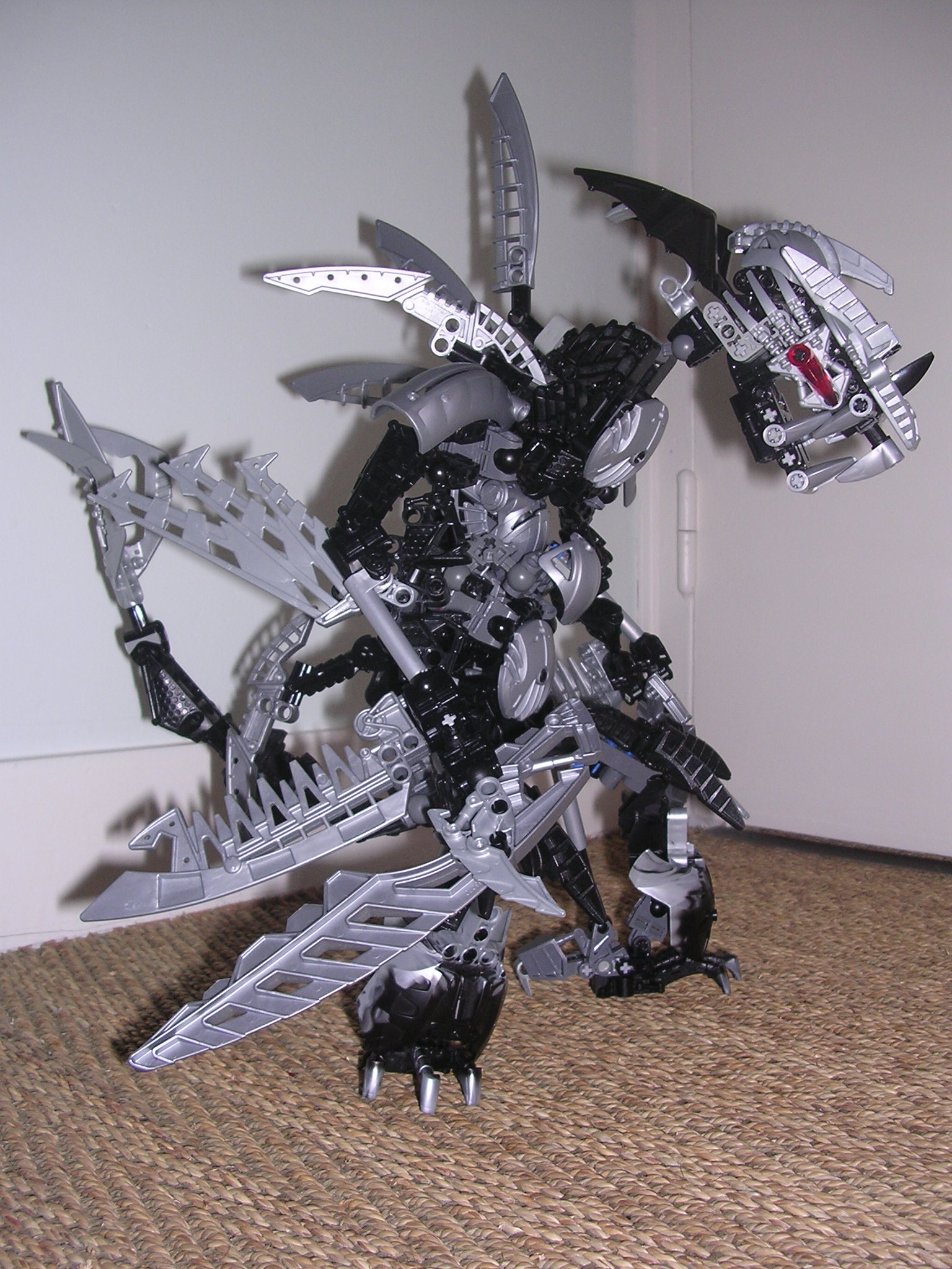 dscn2579.jpg
