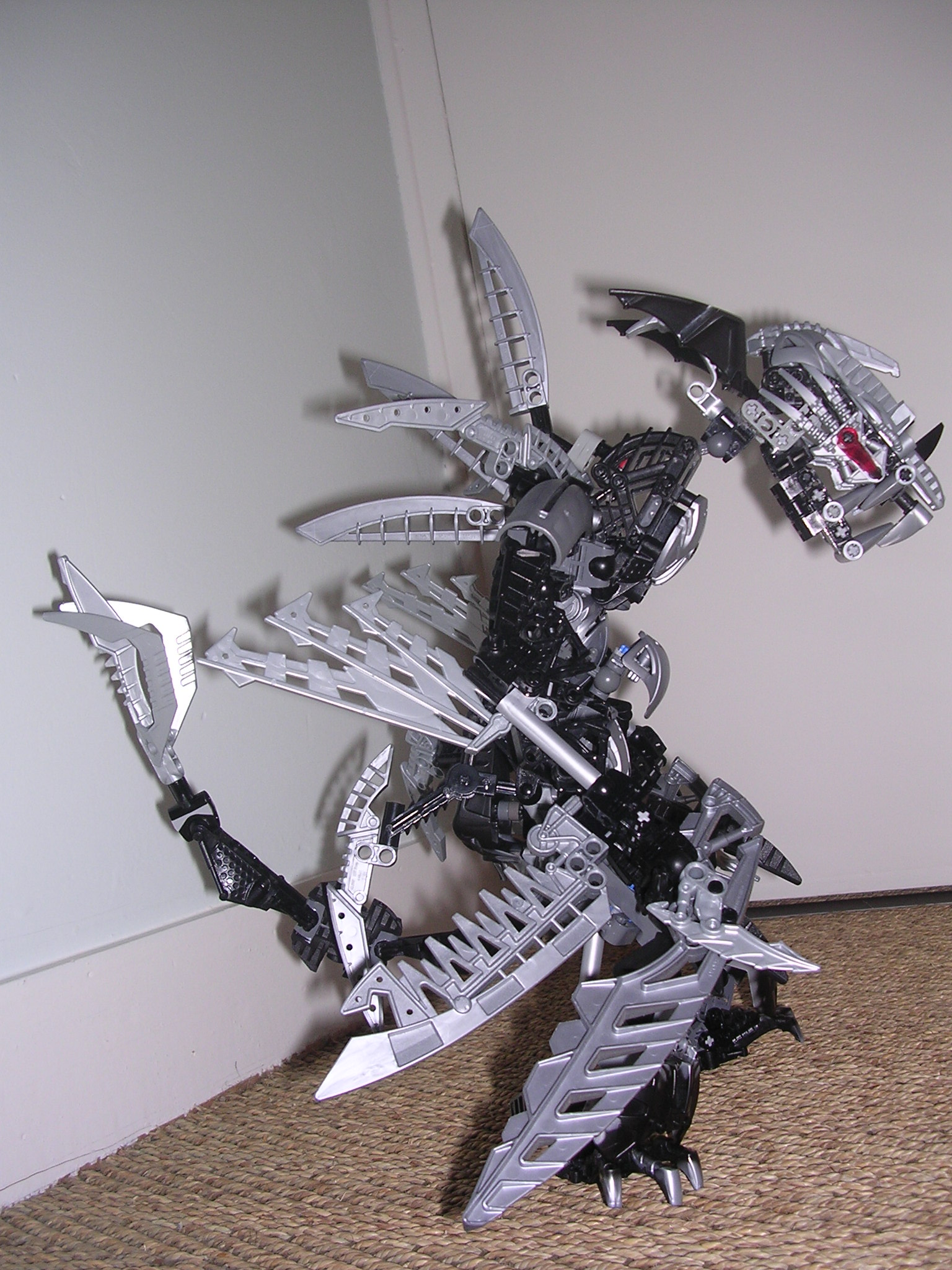 dscn2580.jpg