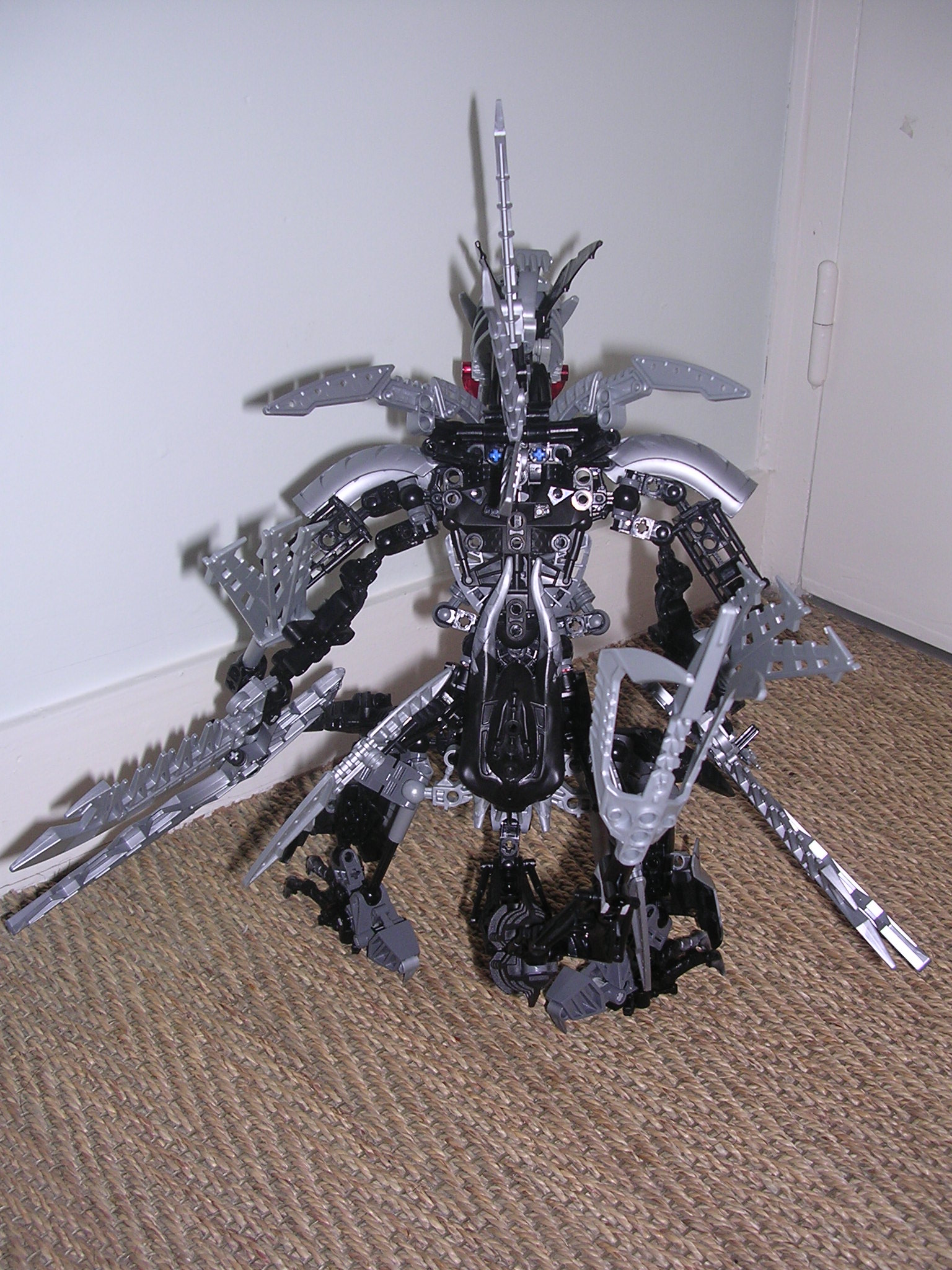 dscn2581.jpg