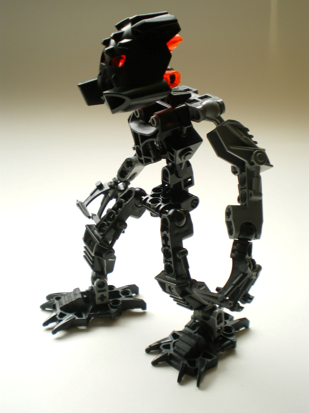 imgp0919.jpg