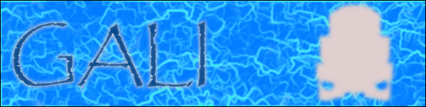 gali_banner.png