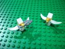 dsc01453.jpg