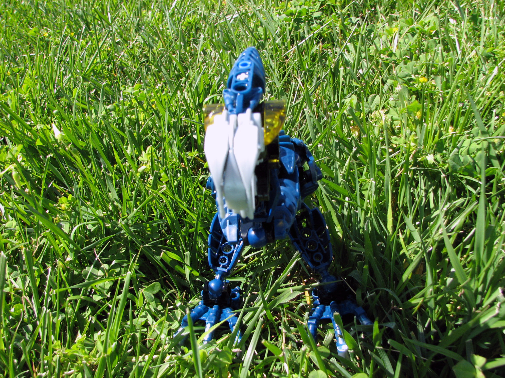 kerah_ae_renewed_2_edited.jpg
