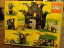 6054forest-06.jpg