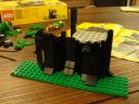 6054forest-12.jpg