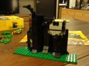 6054forest-14.jpg
