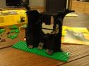 6054forest-15.jpg