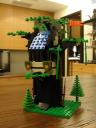 6054forest-17.jpg