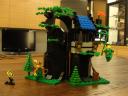 6054forest-20.jpg