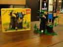 6054forest-24.jpg