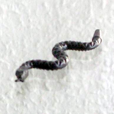 schlange-01-01-01.jpg