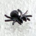 spinne-01-01-01.jpg
