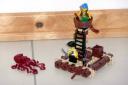 6240-10-30-11-pirates.jpg
