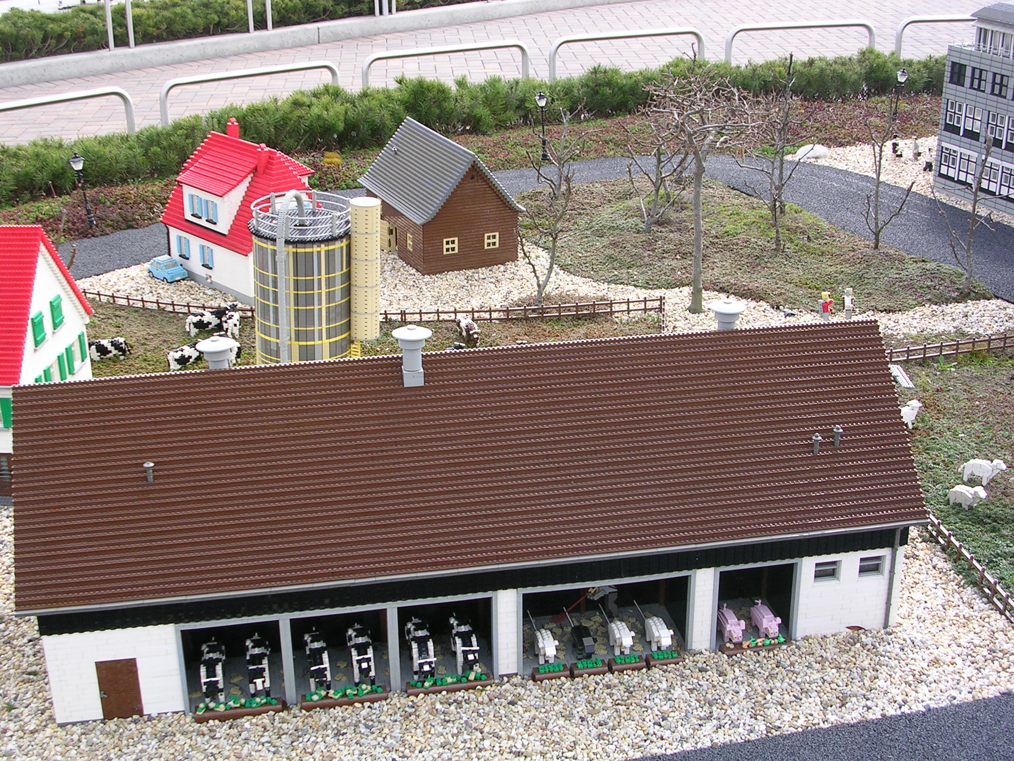 dscn0315.jpg