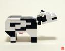 cow005.jpg