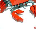 giantcrab08.jpg