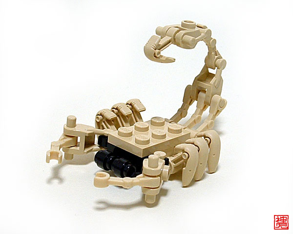 scorpion01.jpg