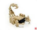 scorpion02.jpg