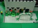 christinas_mocs_garden.jpg