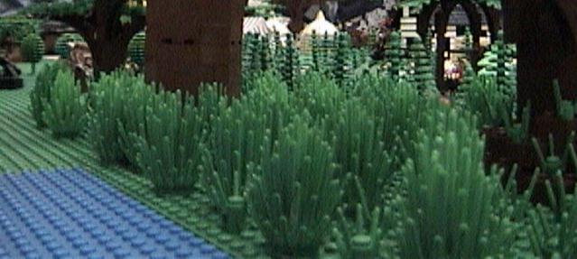 stephen_forest.jpg