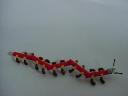 Monkeypede