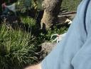 legoland