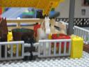 reggies_pet_shop_04.jpg