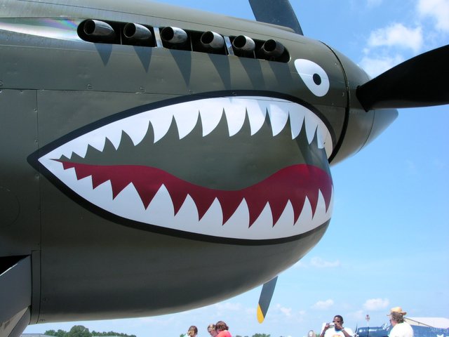 p-40_detail.jpg