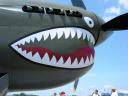 p-40_detail.jpg