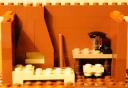 _dsc5004-3.jpg