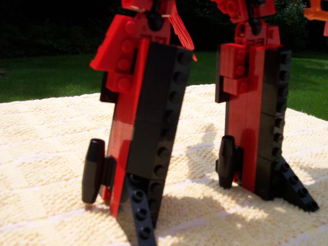 100_1101.jpg