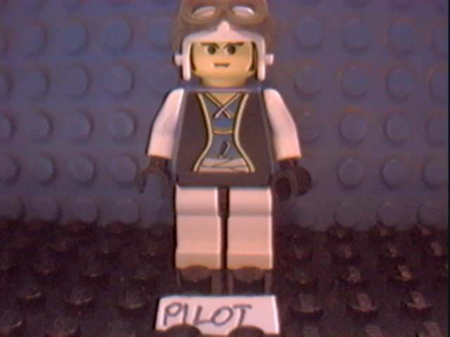 private_pilot.jpg