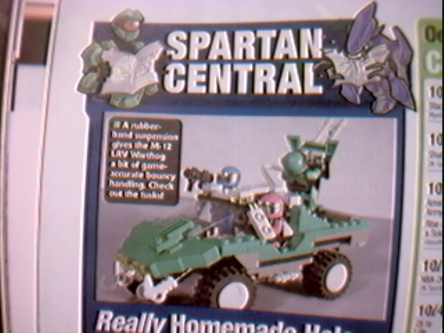 scorp_article2.jpg