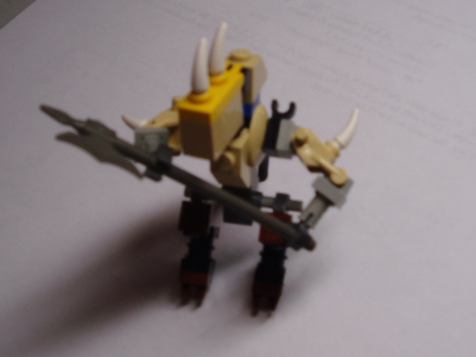p1010008.jpg