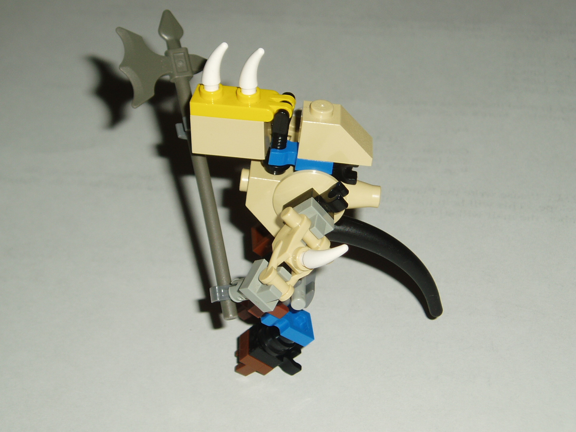p1010013.jpg