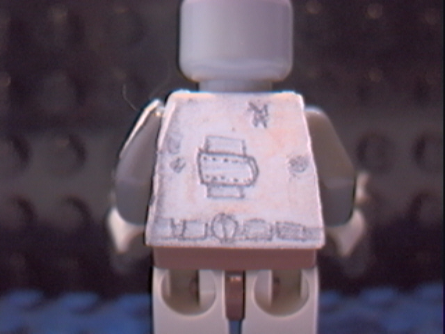 desert_silt_strider_back.jpg