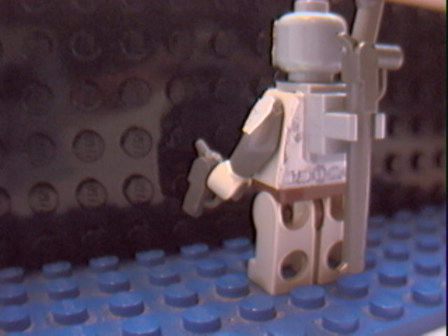 desert_silt_strider_behind.jpg