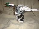 bird6.jpg