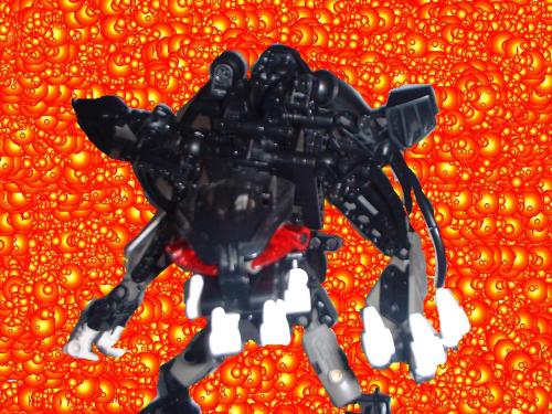 crovax1.jpg
