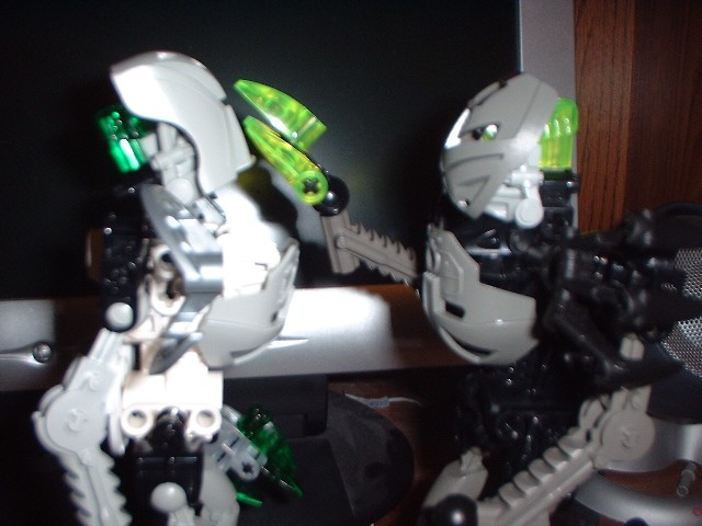 img00029.jpg