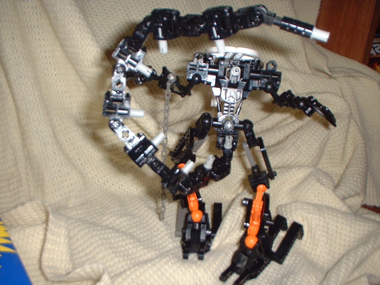 spider-002.jpg