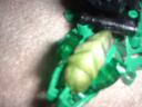 turtlekratta-034.jpg