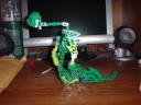 spider-021.jpg