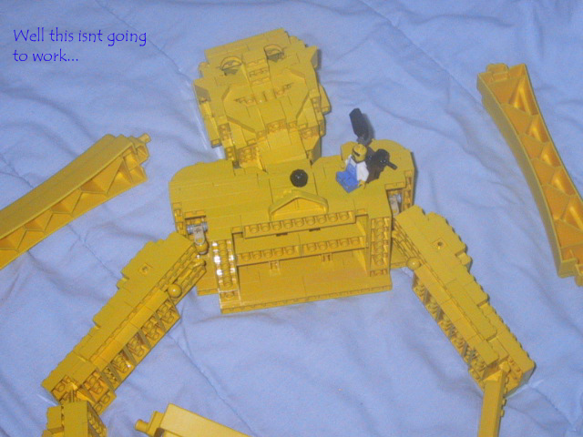 coltorso.jpg